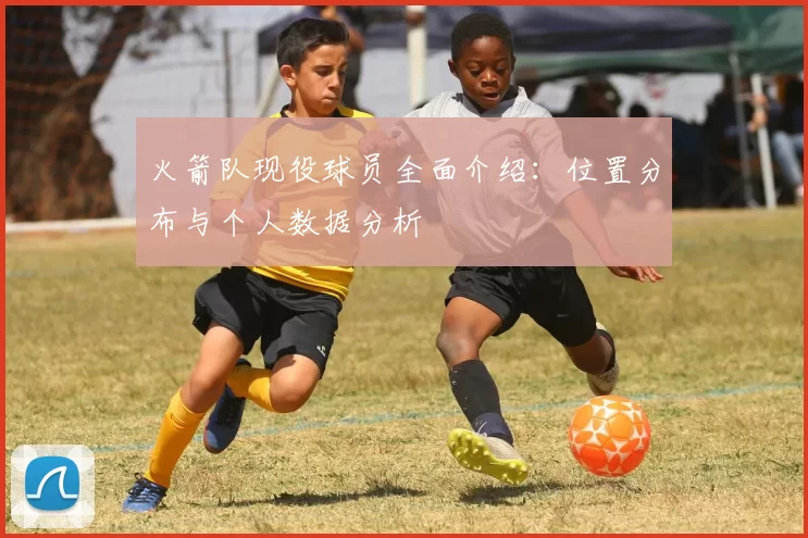 火箭队现役球员全面介绍：位置分布与个人数据分析