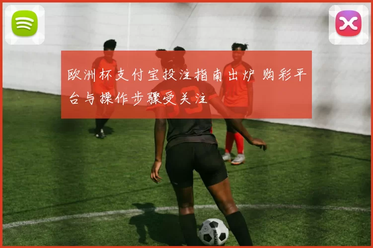 欧洲杯支付宝投注指南出炉 购彩平台与操作步骤受关注