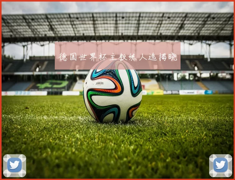 德国世界杯主教练人选揭晓