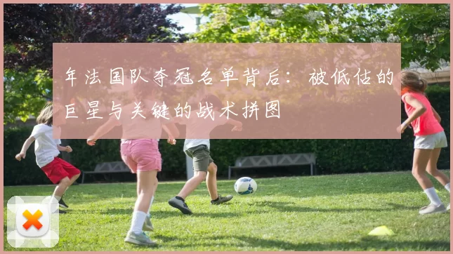 年法国队夺冠名单背后:被低估的巨星与关键的战术拼图