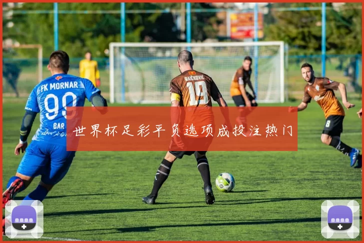 世界杯足彩平负选项成投注热门