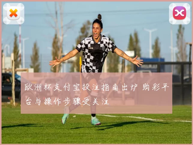 欧洲杯支付宝投注指南出炉 购彩平台与操作步骤受关注