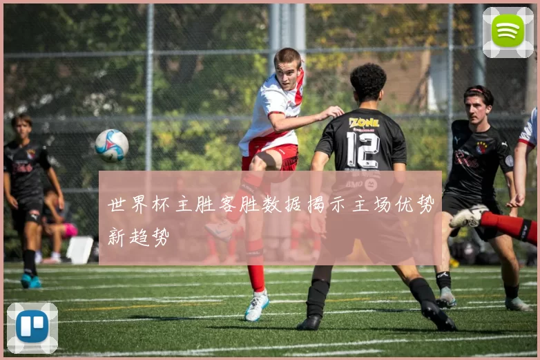 世界杯主胜客胜数据揭示主场优势新趋势