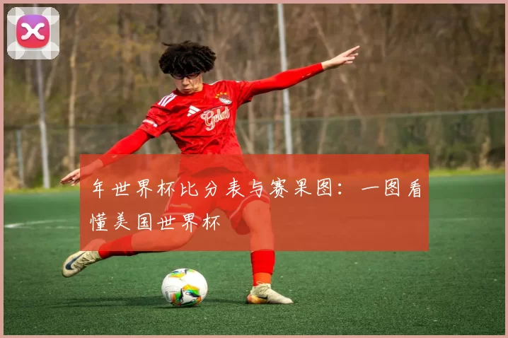 年世界杯比分表与赛果图:一图看懂美国世界杯