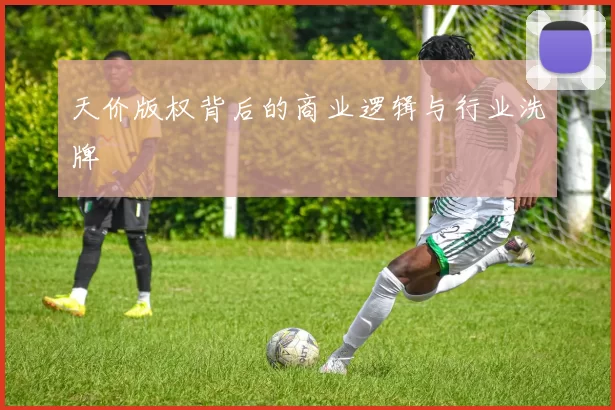 天价版权背后的商业逻辑与行业洗牌