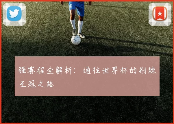 强赛程全解析:通往世界杯的荆棘王冠之路