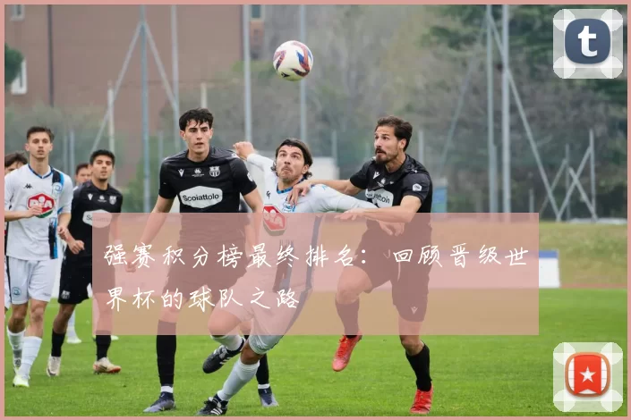 强赛积分榜最终排名:回顾晋级世界杯的球队之路